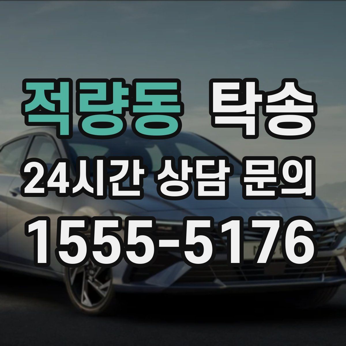 적량동 탁송 반려동물 동반 차량도 규정 내 진행