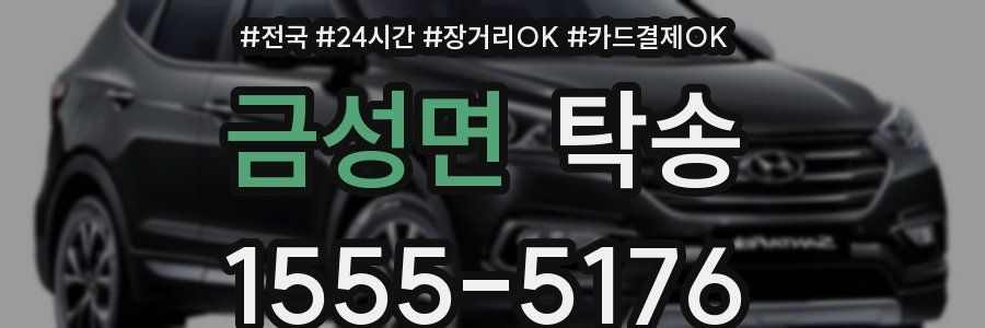 금성면 탁송