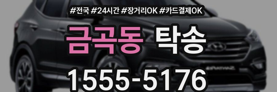 금곡동 탁송