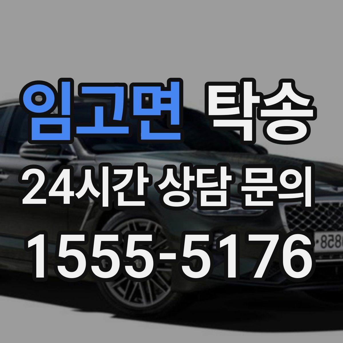 임고면 탁송 전시장 출고 차량 문앞 인도 일정 정리