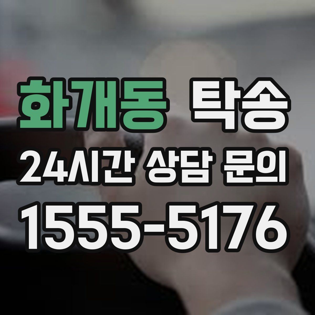 화개동 탁송 반려동물 동반 차량도 규정 내 진행