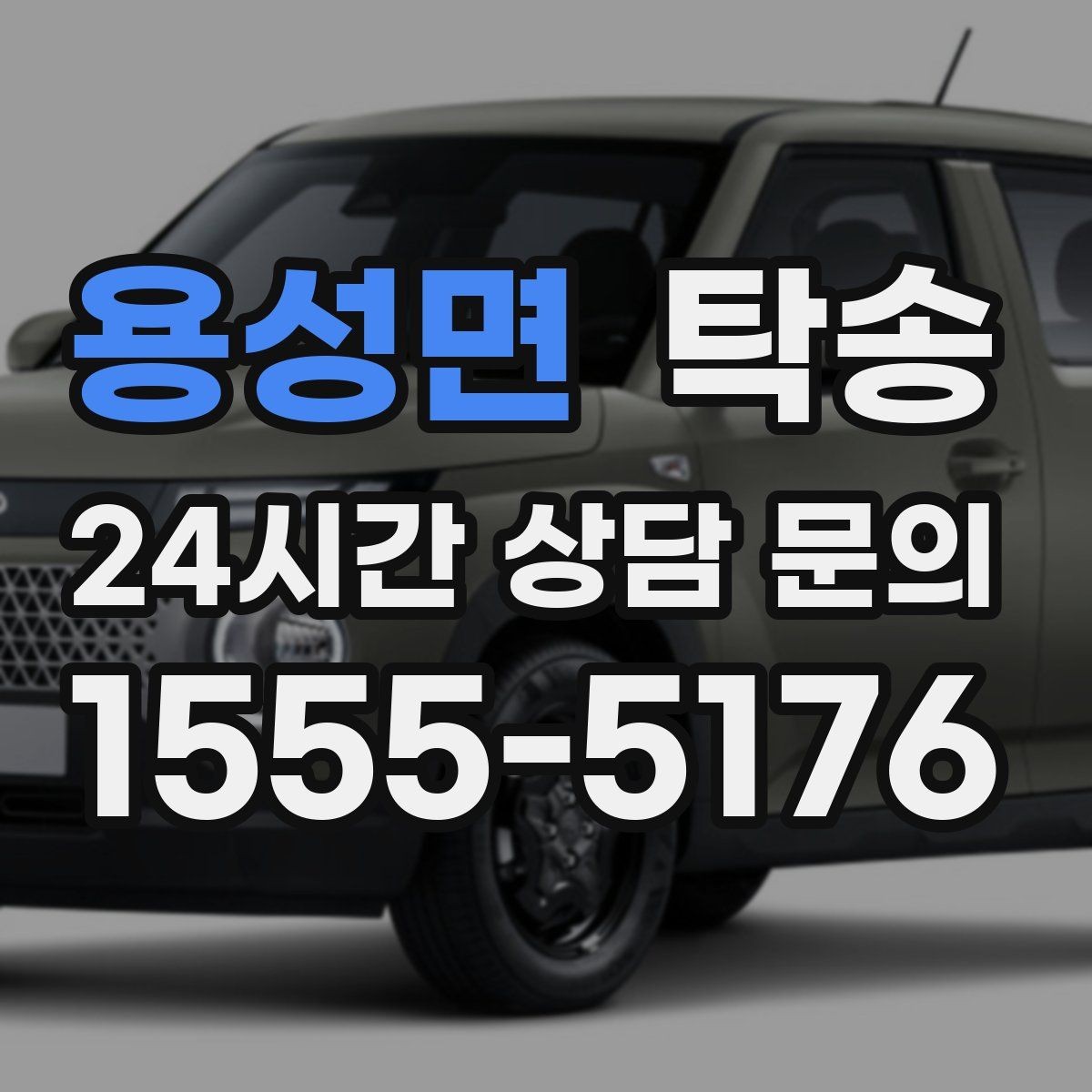 용성면 탁송 반려동물 동반 차량도 규정 내 진행