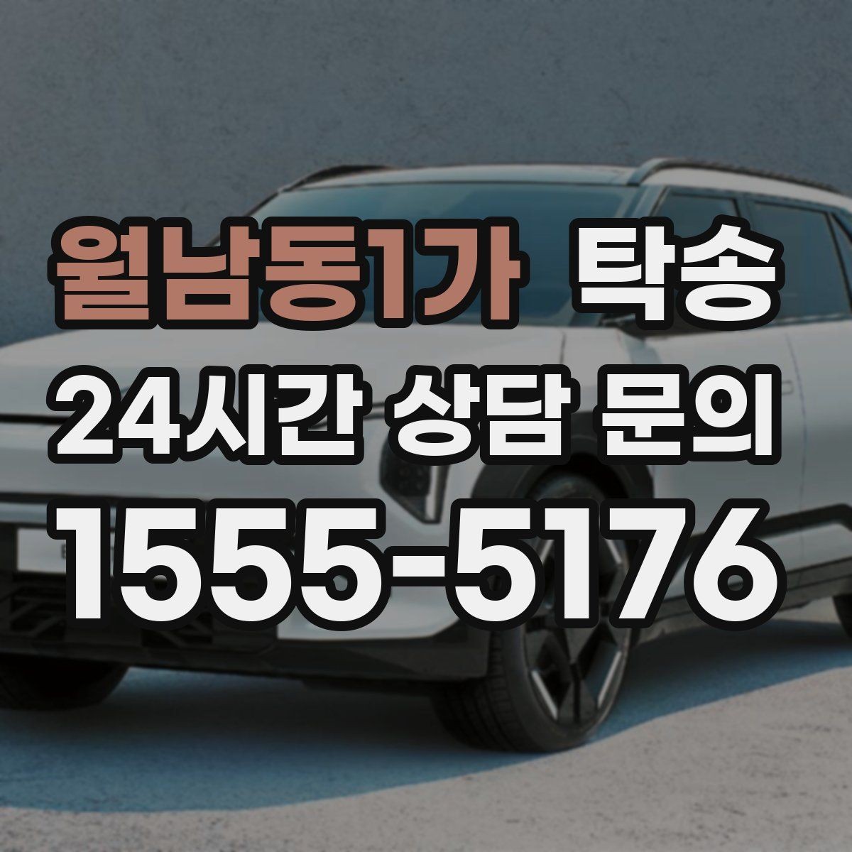 월남동1가 탁송 반려동물 동반 차량 규정 내 안전 진행