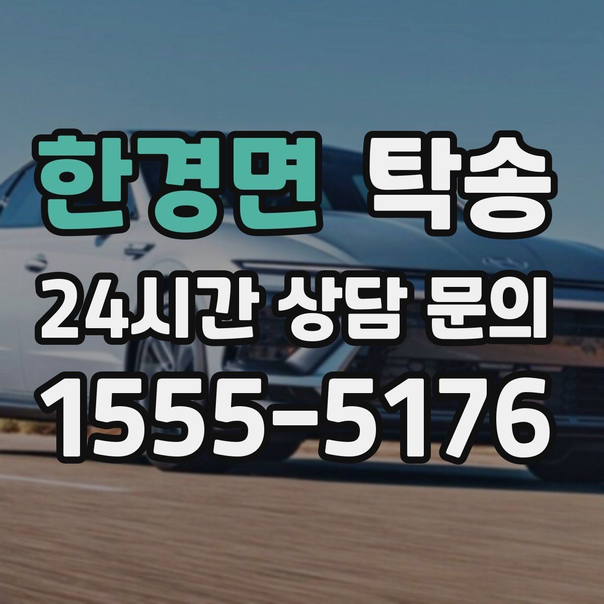 한경면 탁송 반려동물 동반 차량 규정 내 안전 진행