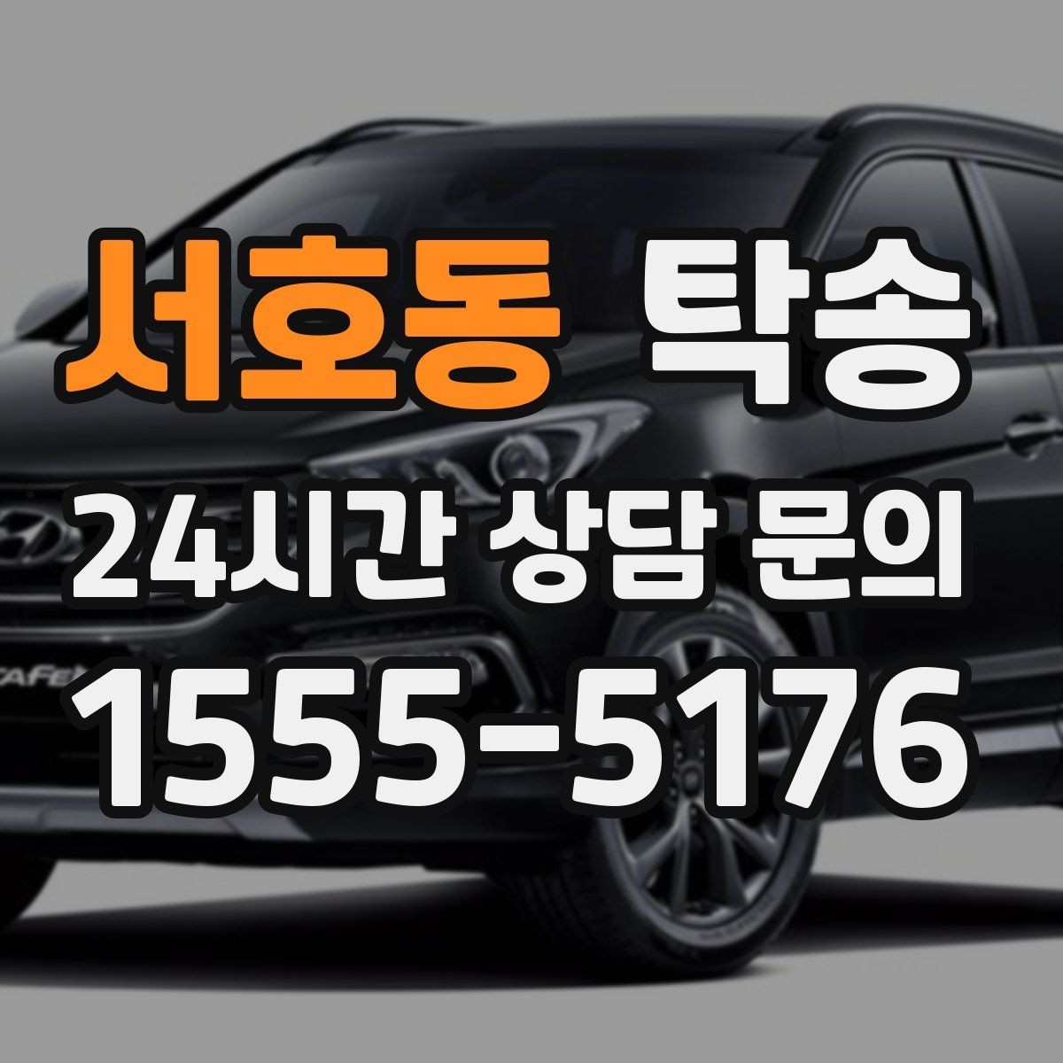 서호동 탁송 반려동물 동반 차량 사전 준비로 안전