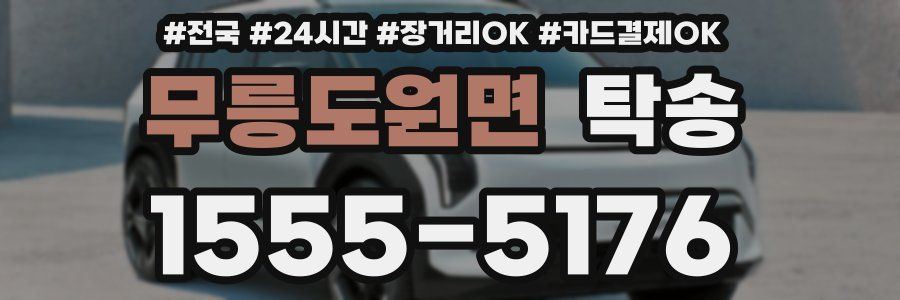 무릉도원면 탁송