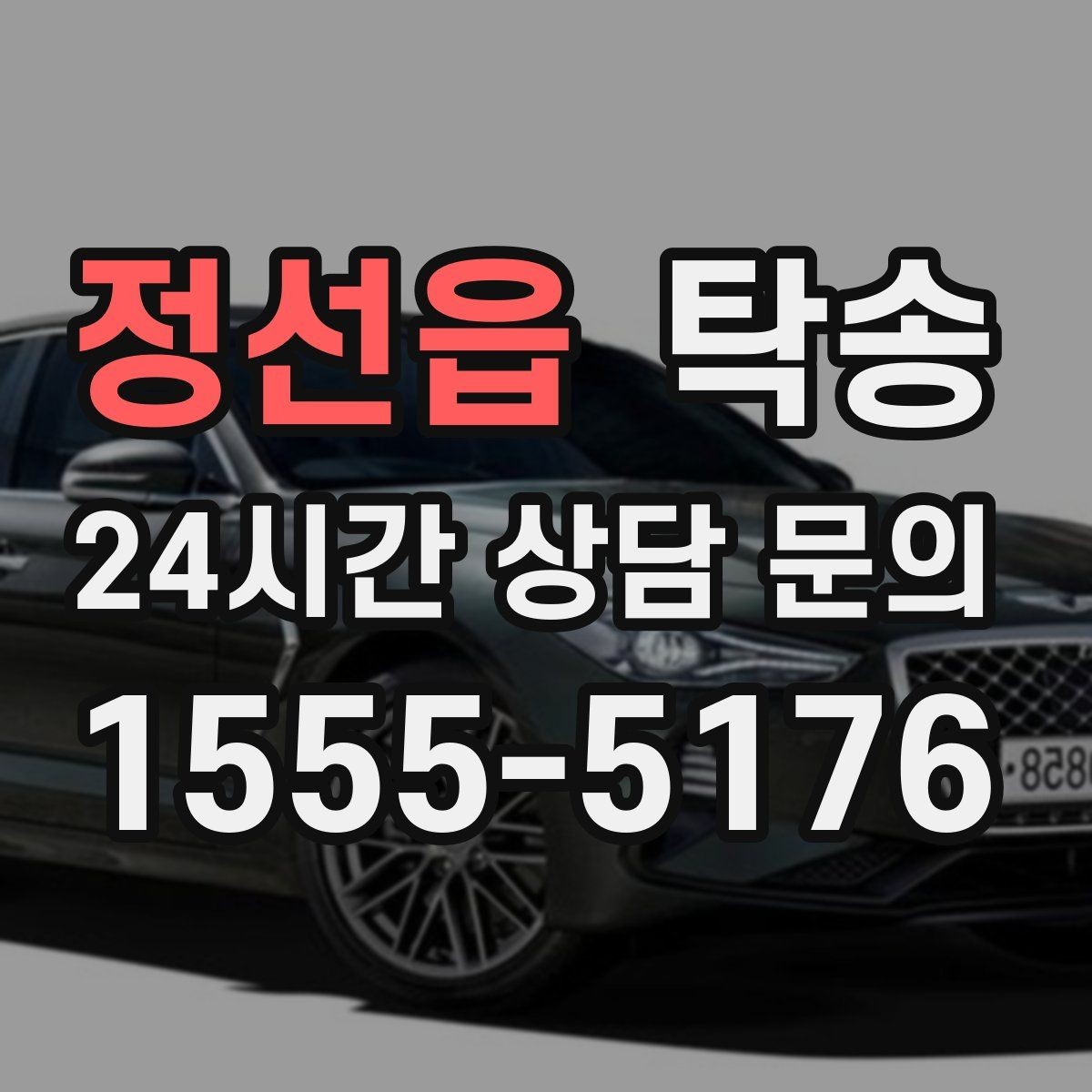 정선읍 탁송 장거리 노선에서도 일정한 품질 유지