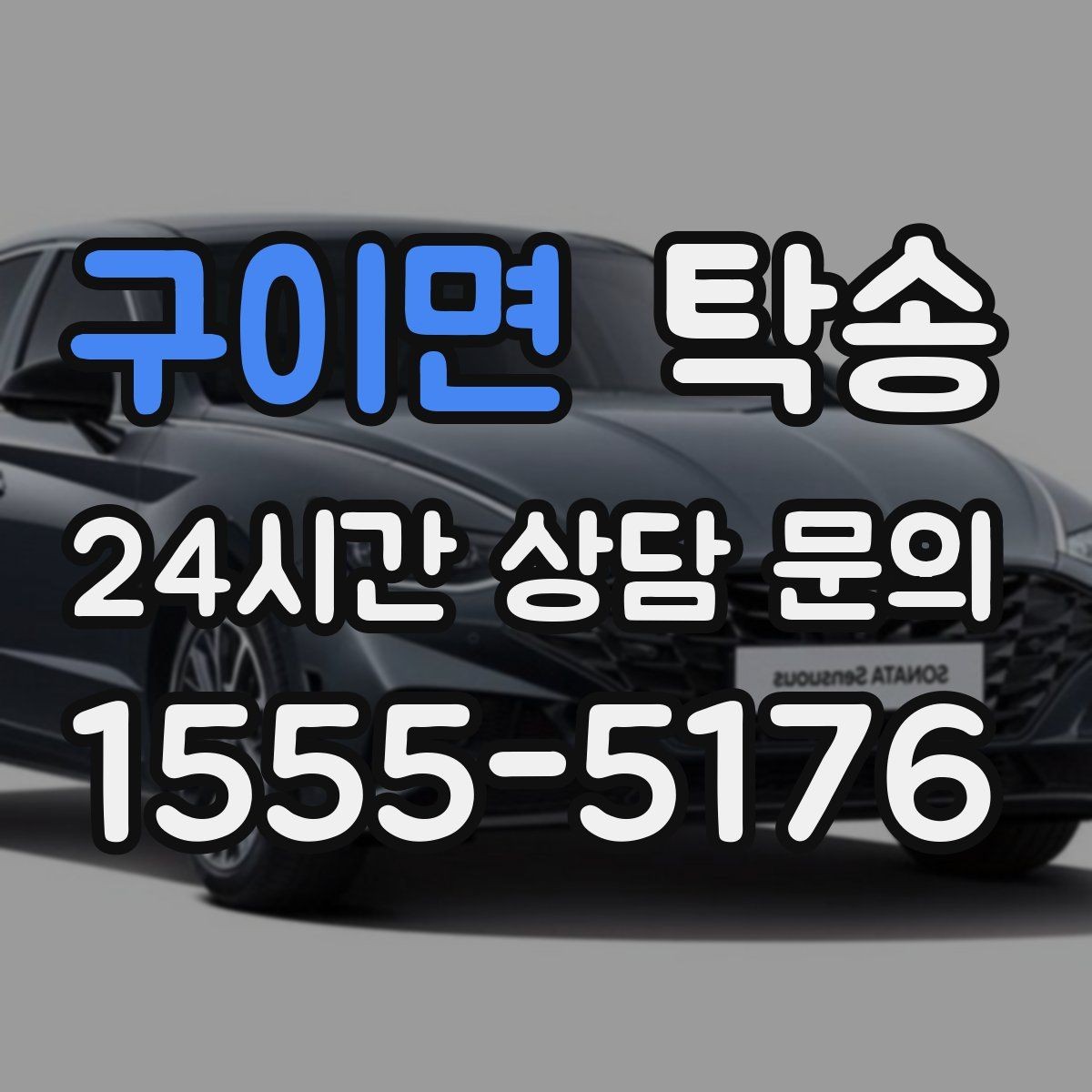 구이면 탁송 반려동물 동반 차량 규정 내 안전 진행