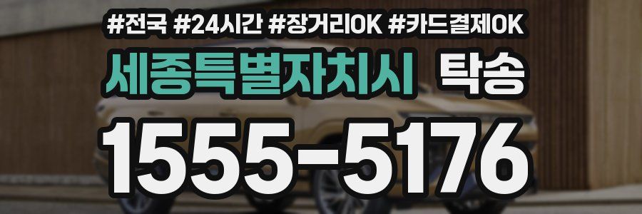 세종특별자치시 탁송