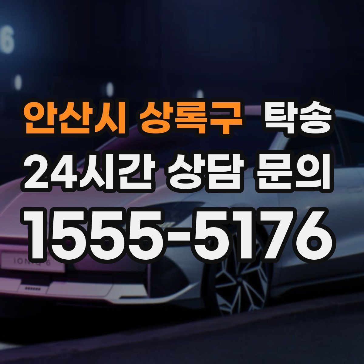 안산시 상록구 탁송 반려동물 동반 차량 규정 내 안전 진행