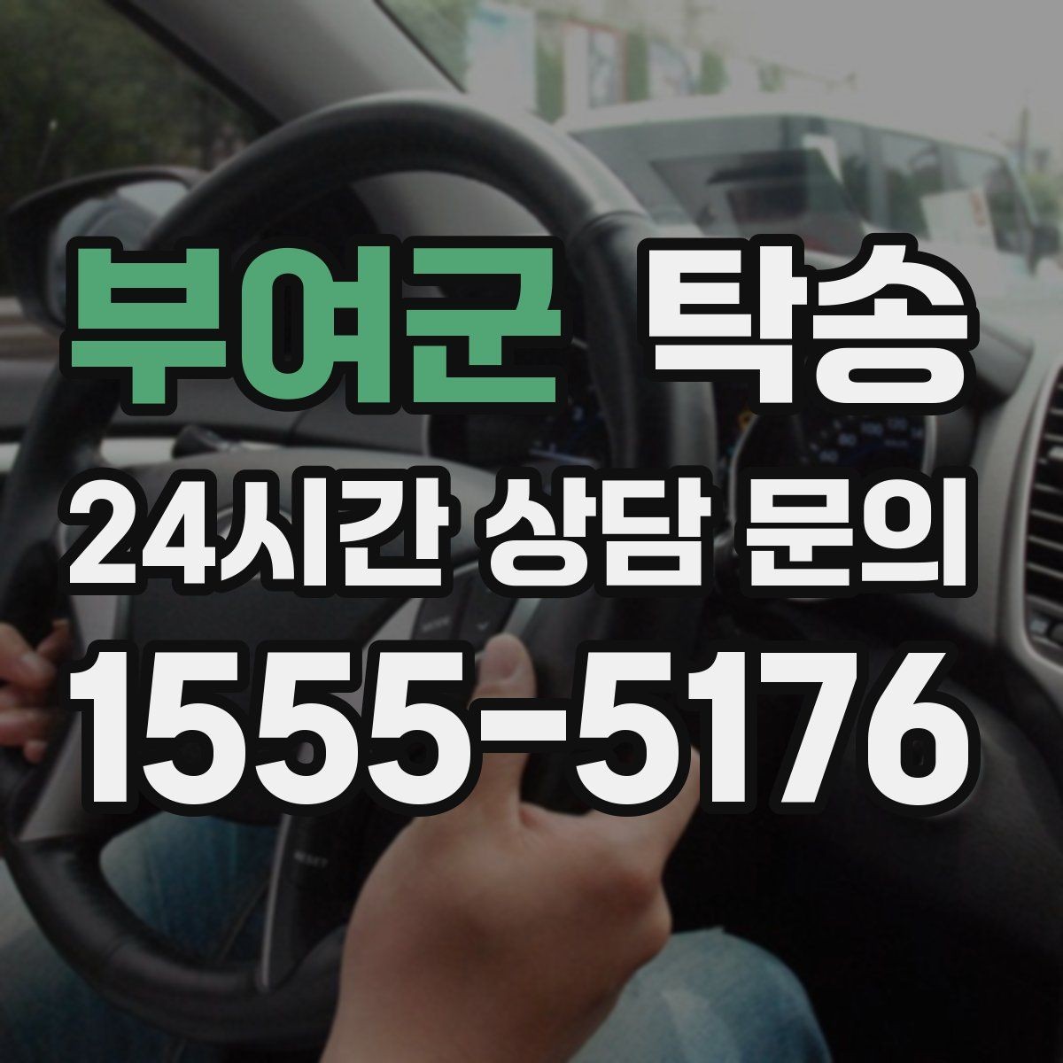부여군 탁송 반려동물 동반 차량 규정 내 안전 진행