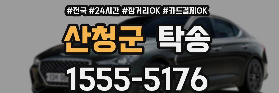 산청군 탁송