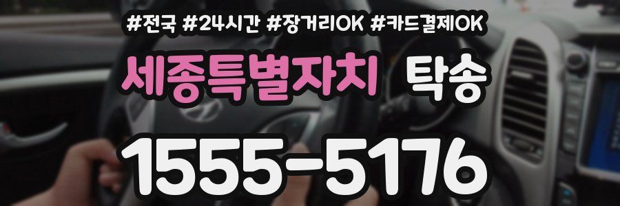 세종특별자치 탁송