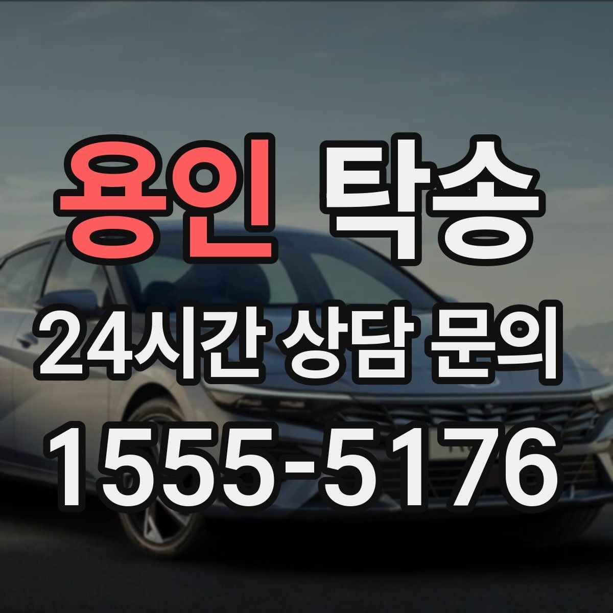 용인 탁송 반려동물 동반 차량도 규정 내 진행