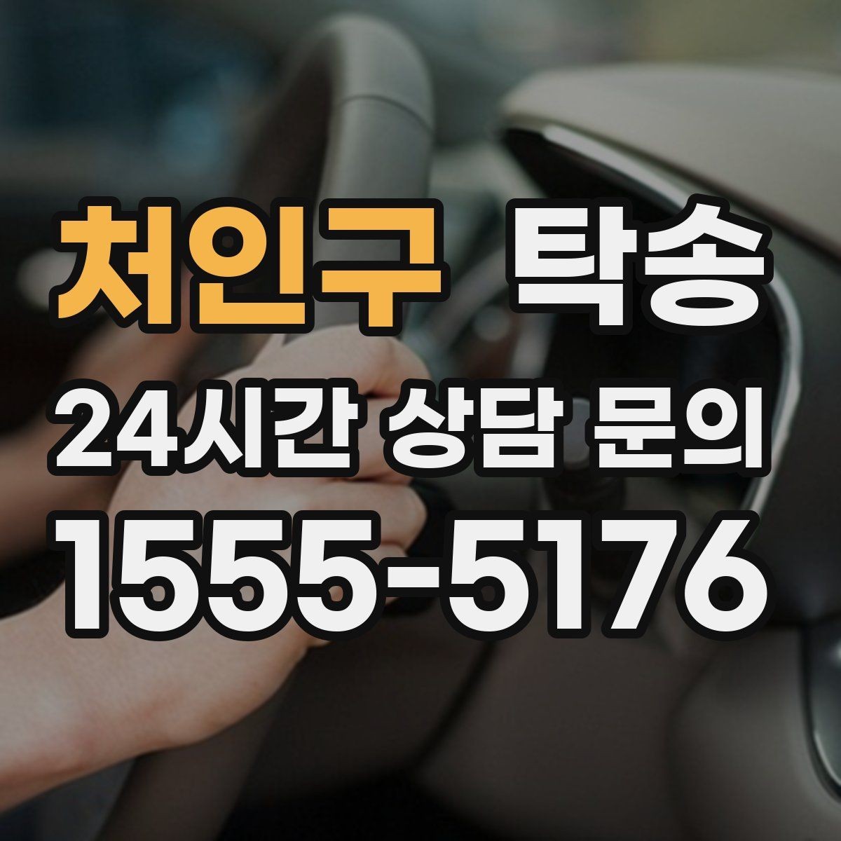 처인구 탁송 반려동물 동반 차량도 규정 내 진행