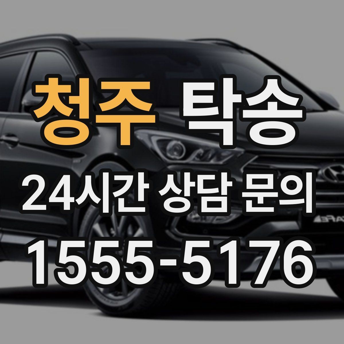 청주 탁송 반려동물 동반 차량도 규정 내 진행