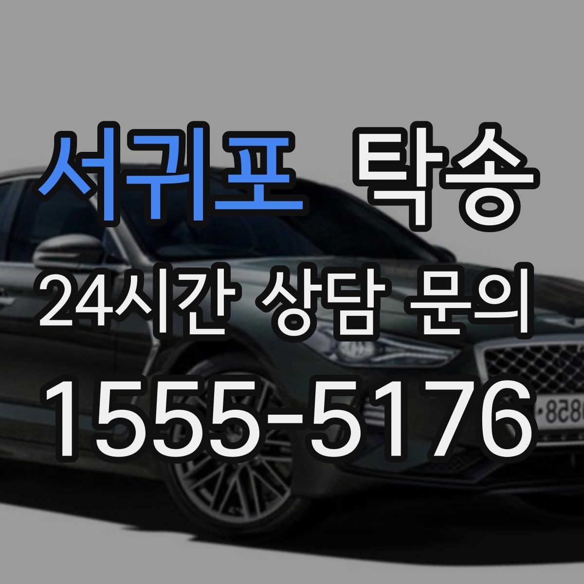 서귀포 탁송 전시차 이동 하루 일정 매끄럽게 구성