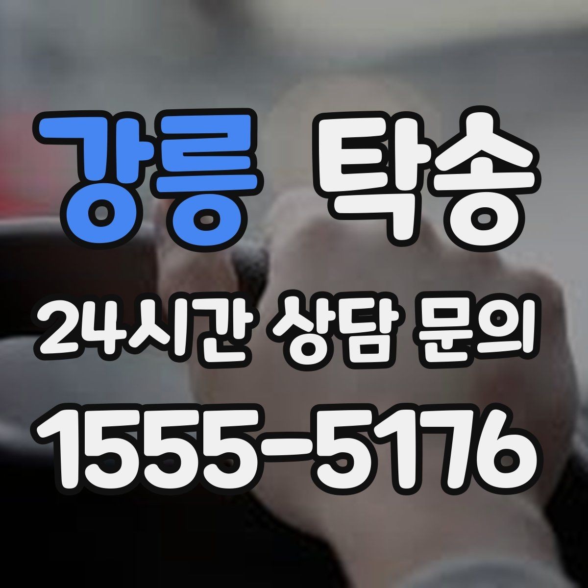 강릉 탁송 적정 온도와 환기로 쾌적함 유지