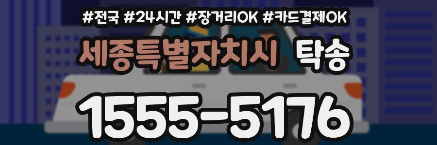 세종특별자치시 탁송