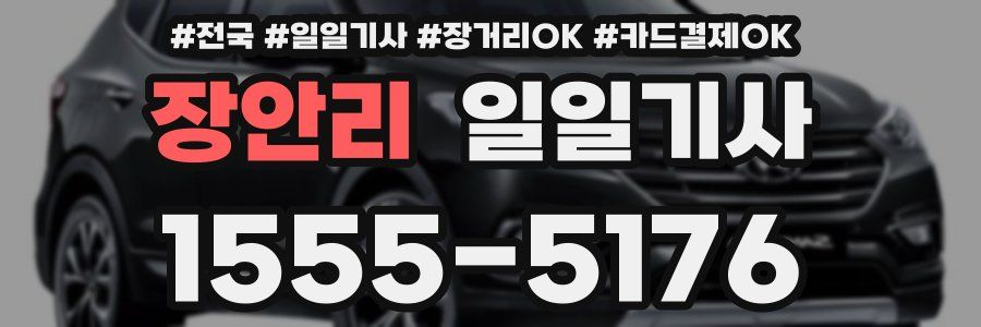 장안리 일일기사