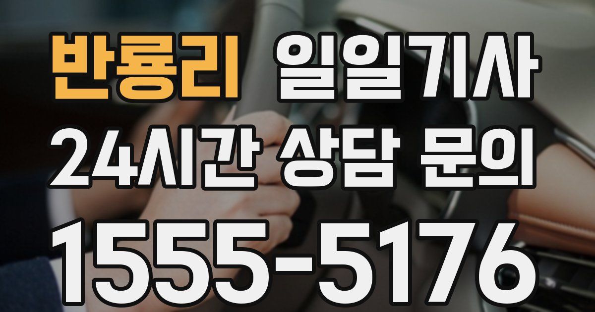 일일대리기사