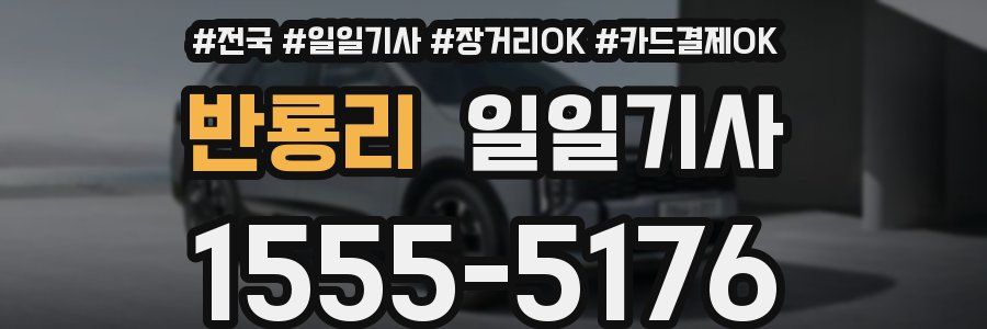 반룡리 일일기사