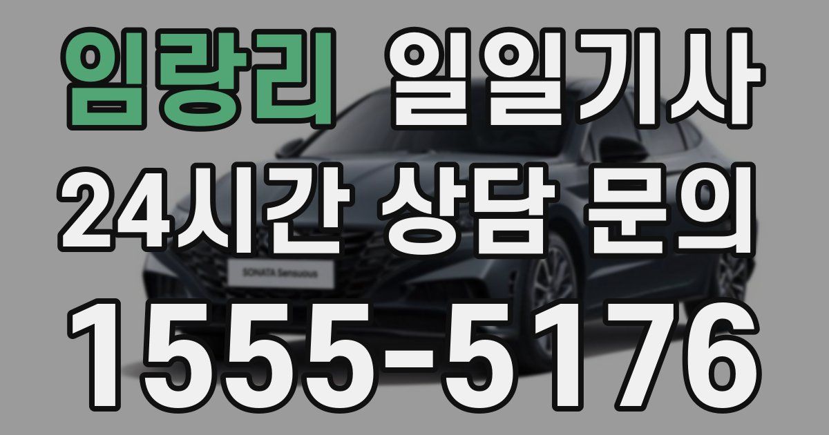일일대리기사