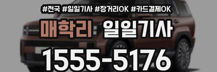 매학리 일일기사