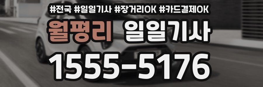 월평리 일일기사