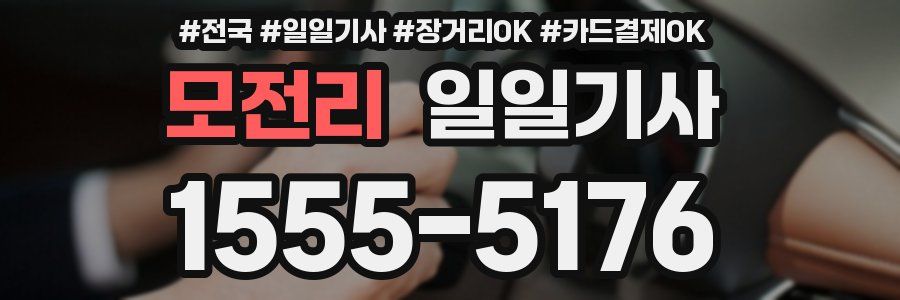 모전리 일일기사