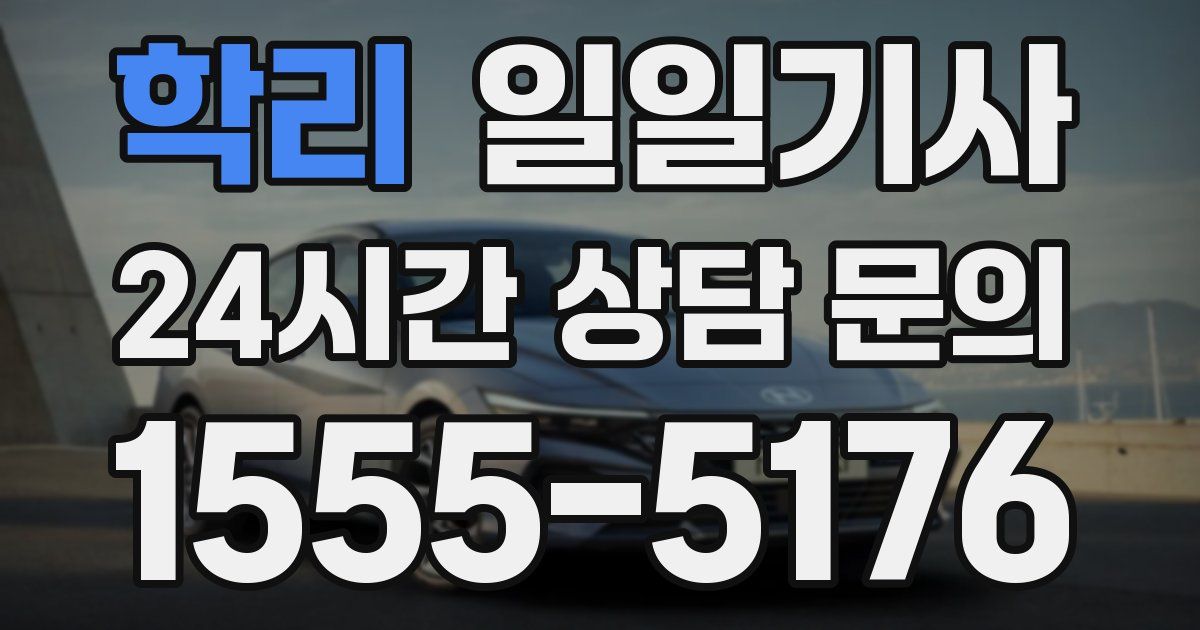 일일대리기사