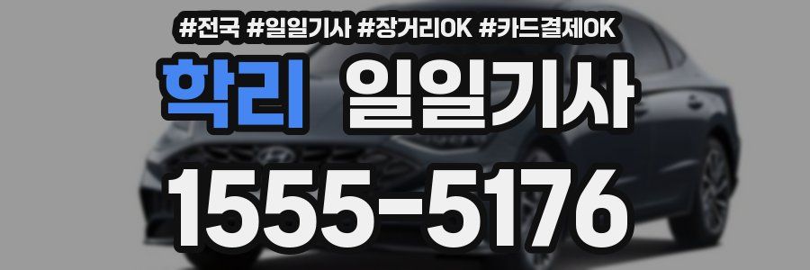 학리 일일기사