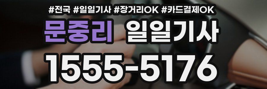 문중리 일일기사