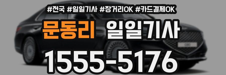 문동리 일일기사