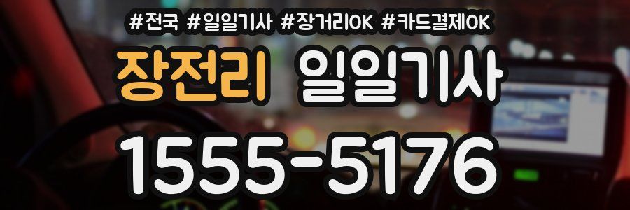 장전리 일일기사