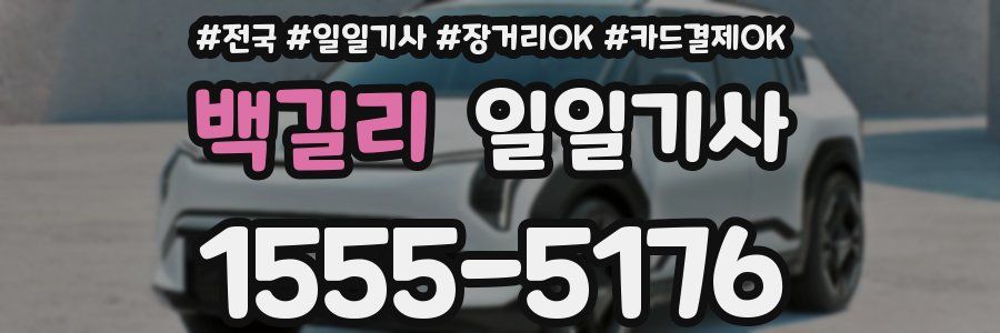 백길리 일일기사