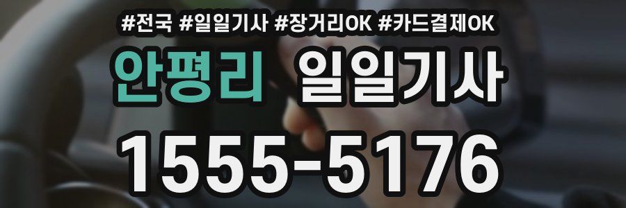 안평리 일일기사