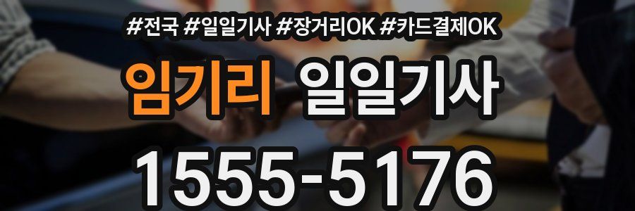임기리 일일기사