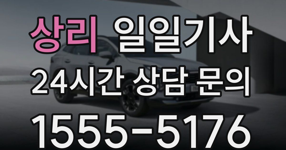 일일대리기사