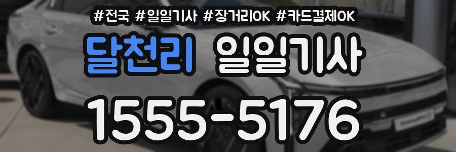 달천리 일일기사