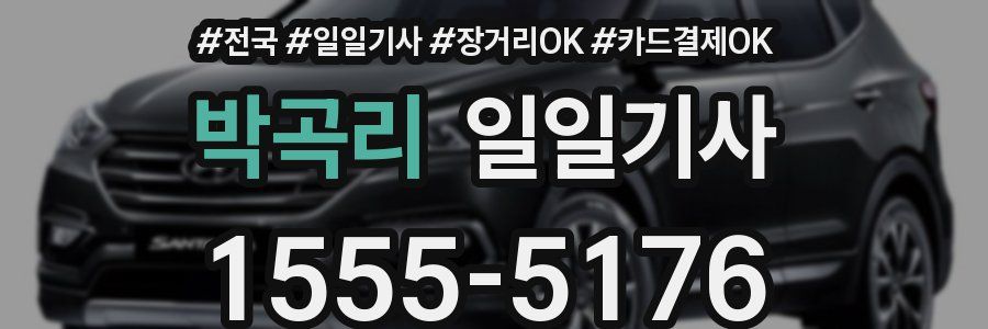 박곡리 일일기사