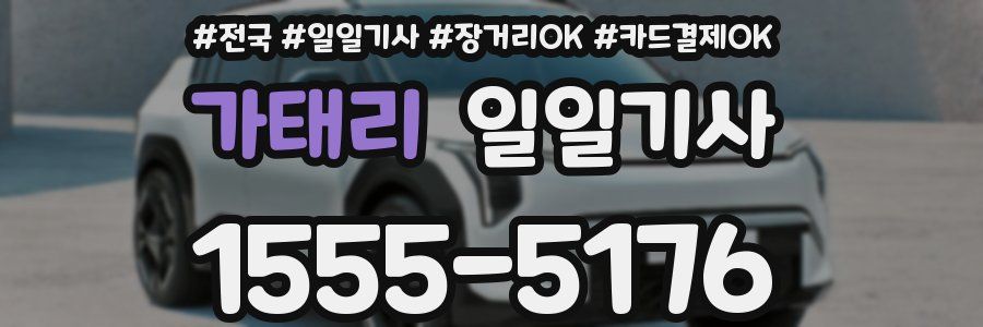 가태리 일일기사