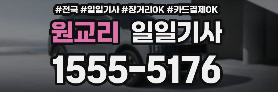 원교리 일일기사
