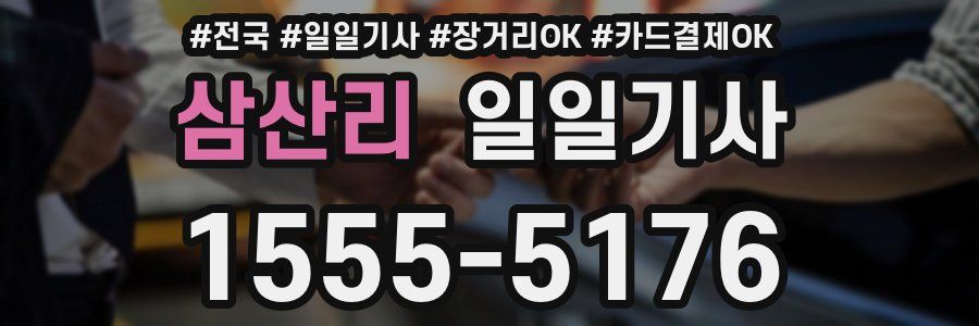 삼산리 일일기사