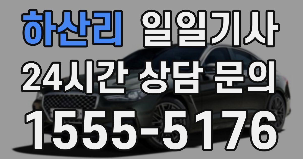 일일대리기사