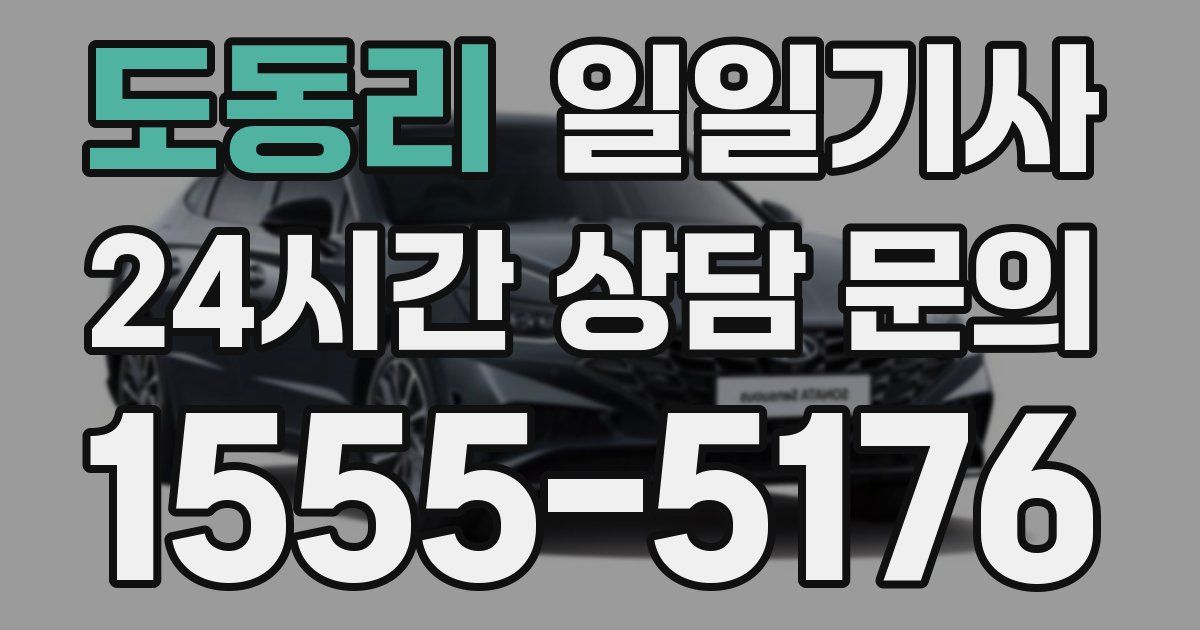일일대리기사