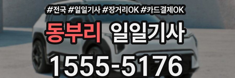 동부리 일일기사