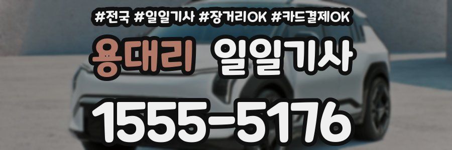 용대리 일일기사