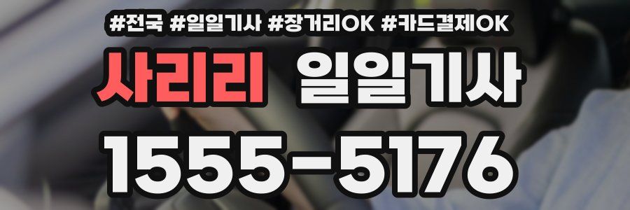 사리리 일일기사