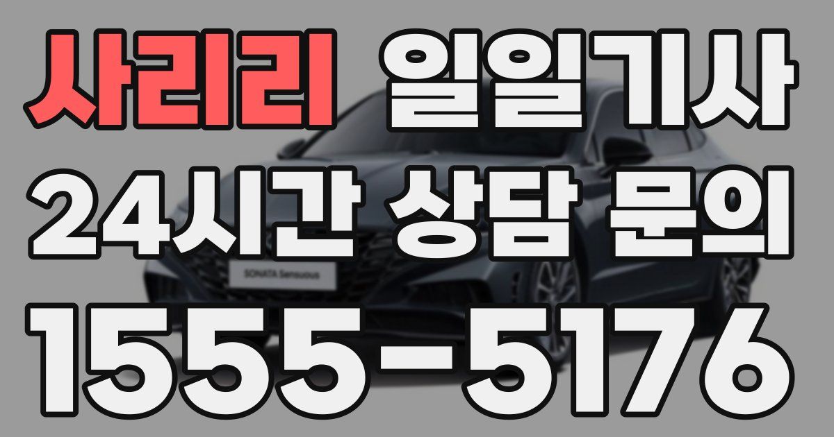 일일대리기사